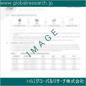 グローバルリサーチ調査資料のイメージ